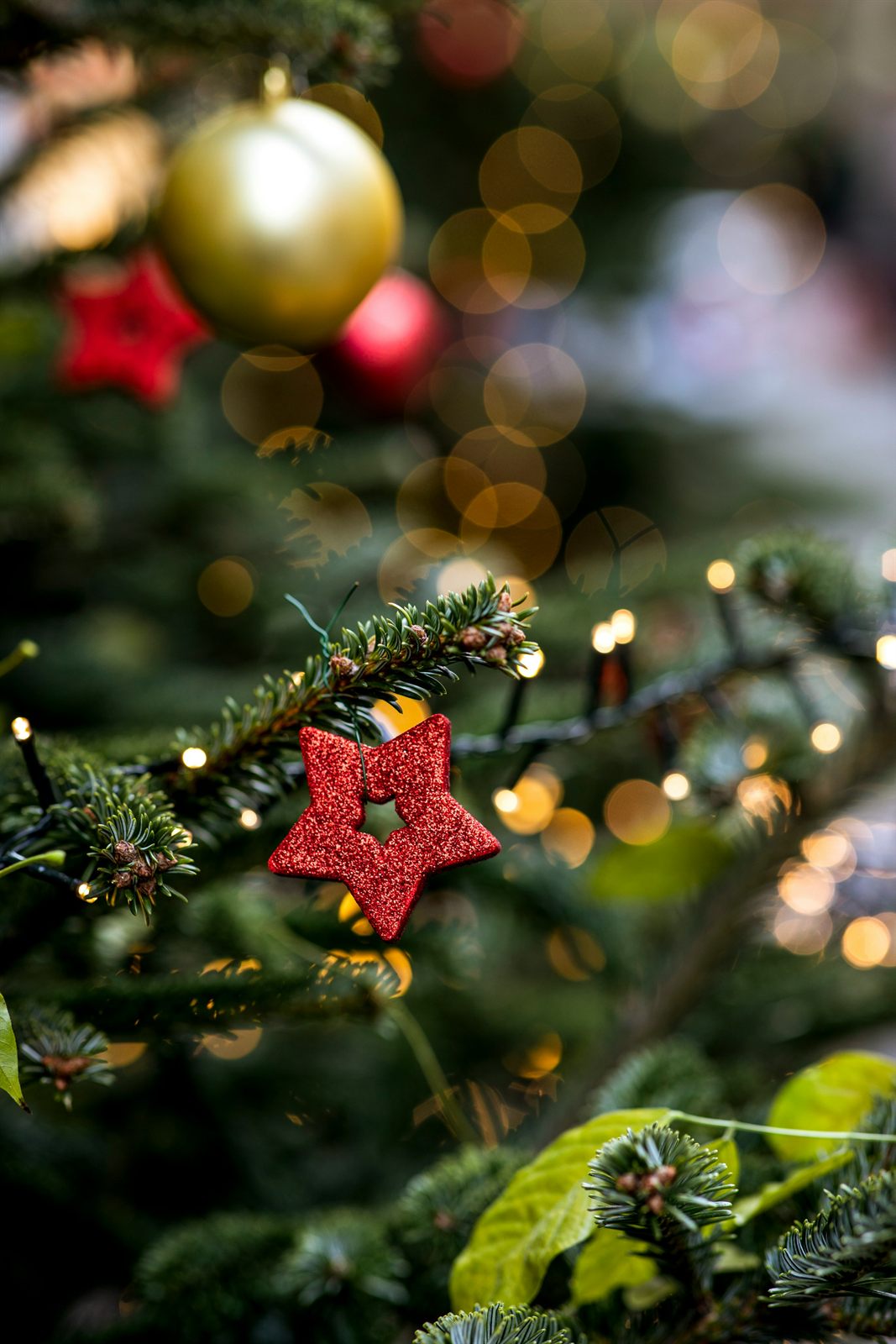 Christmas tree decorated with seasonal ornaments at The Royal Hotel